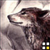 :iconraven-blacsheild: