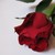 :iconraven-grawch: