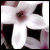 :iconraven-king: