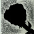 :iconraven-night7: