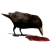 :iconraven-of-babylon: