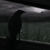 :iconraven-of-the-moon: