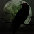 :iconraven-puk: