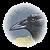 :iconraven-rabbit: