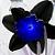 :iconraven0801: