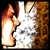 :iconraven16: