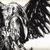:iconraven319: