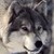 :iconraven72836: