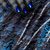 :iconraven7destruction: