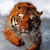 :iconravenclaw-artisan: