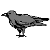 :iconraveneyedskies: