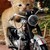 :iconravenkatz13: