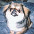 :iconravenkitty: