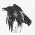 :iconravenonthewind: