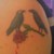 :iconravenpair: