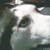 :iconravenpendracus: