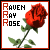 :iconRavenRayRose: