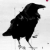 :iconravenrazorblade: