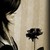 :iconravenrin03: