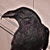 :iconravens-nest: