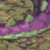 :iconravensmuse: