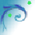 :iconravensrazi: