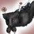 Ravenstar125 :iconravenstar125: