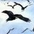 :iconravenstrinkets:
