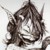 :iconravenwight: