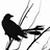 :iconravenwind18: