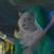:iconRavenWindspirit: