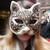 :iconravenwolfart: