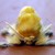 RaverDragon :iconraverdragon: