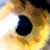 :iconravhendi: