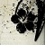 :iconravillen: