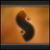 :iconravshane:
