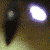 :iconraw-sienna:
