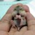 :iconrawcreativity: