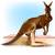 :iconrawkinkangaroo: