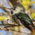 :iconrawnaturephotography: