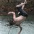 :iconrawpakit: