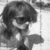 :iconrawrbree: