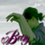 :iconrawrbulous: