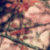 :iconrawrimapirate: