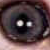 :iconrawrkat: