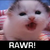 :iconrawrkitty333: