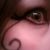 :iconrawrpossum: