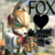 :iconrawrr-footage: