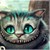 :iconrawwr-737: