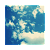 :iconrawwrrxx: